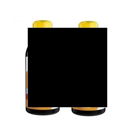 Forté Pharma Turboslim Drenante Sabor Piña Duplo 2 x 500ml