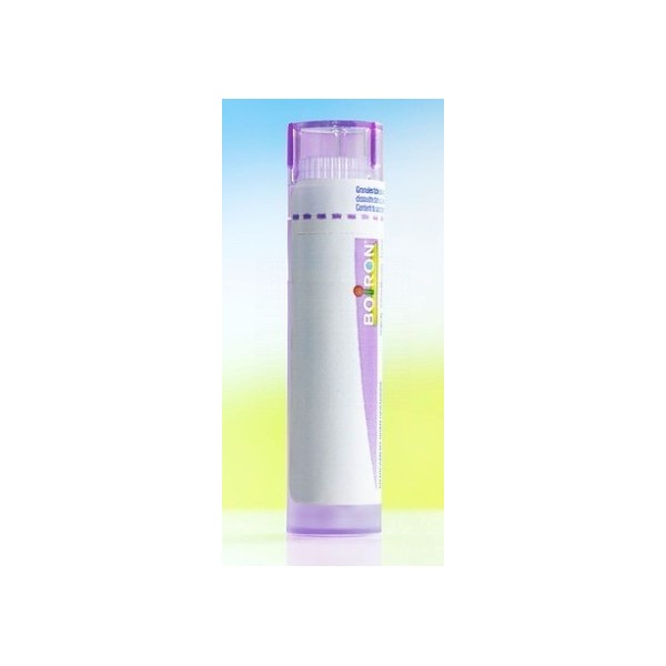 Boiron Hypericum Perforatum Dt 30Ch